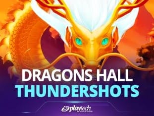 Dragons Hall™ game thumbnail